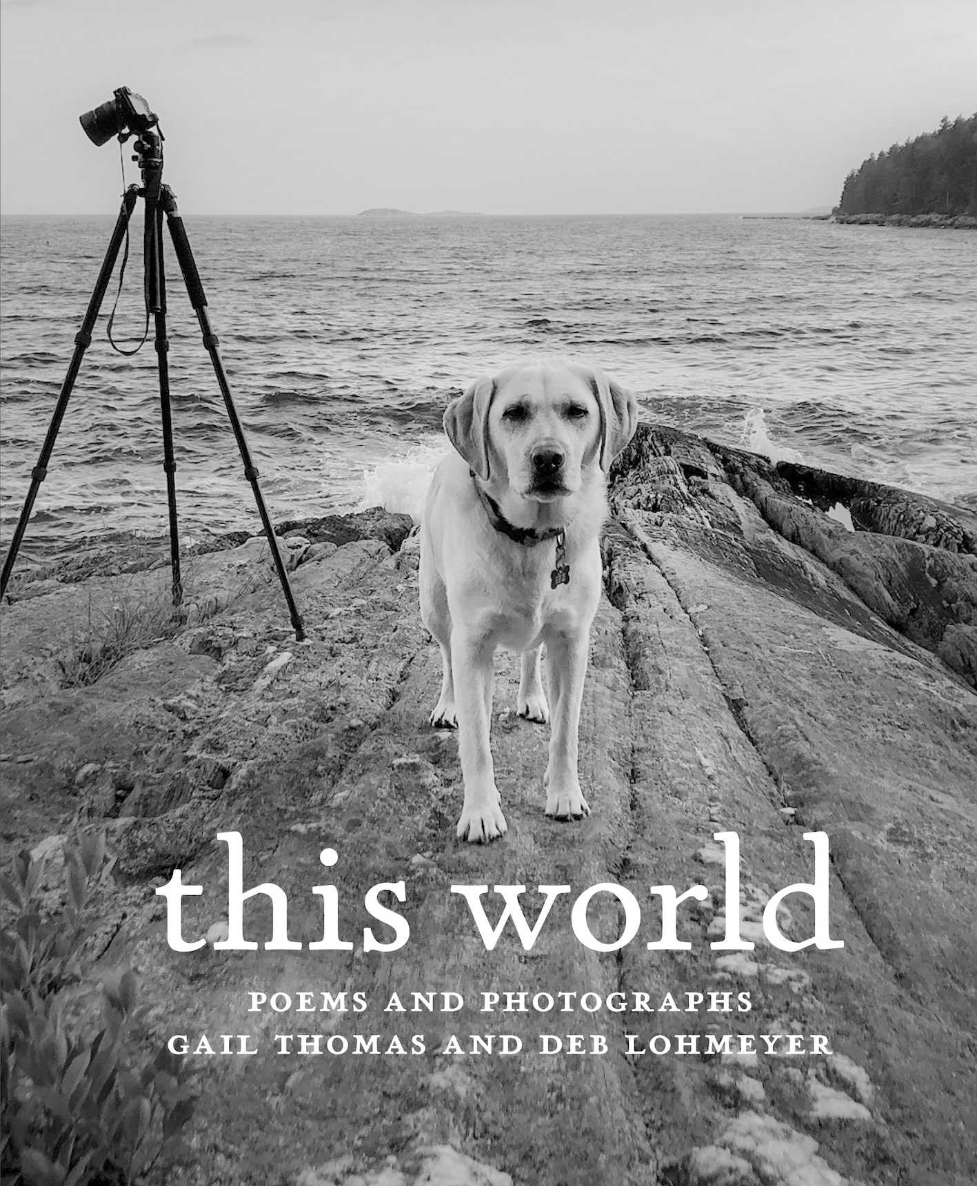 This World Book Talk with Gail Thomas and Deb Lohmeyer